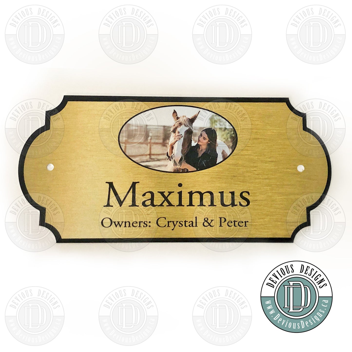 Barn Stall Signs #2 with Picture | Horse Stall Name Plate | Barn Plaque | Custom Name Sign for Horse Stall